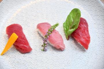 Tuna and Sake Taster Plan